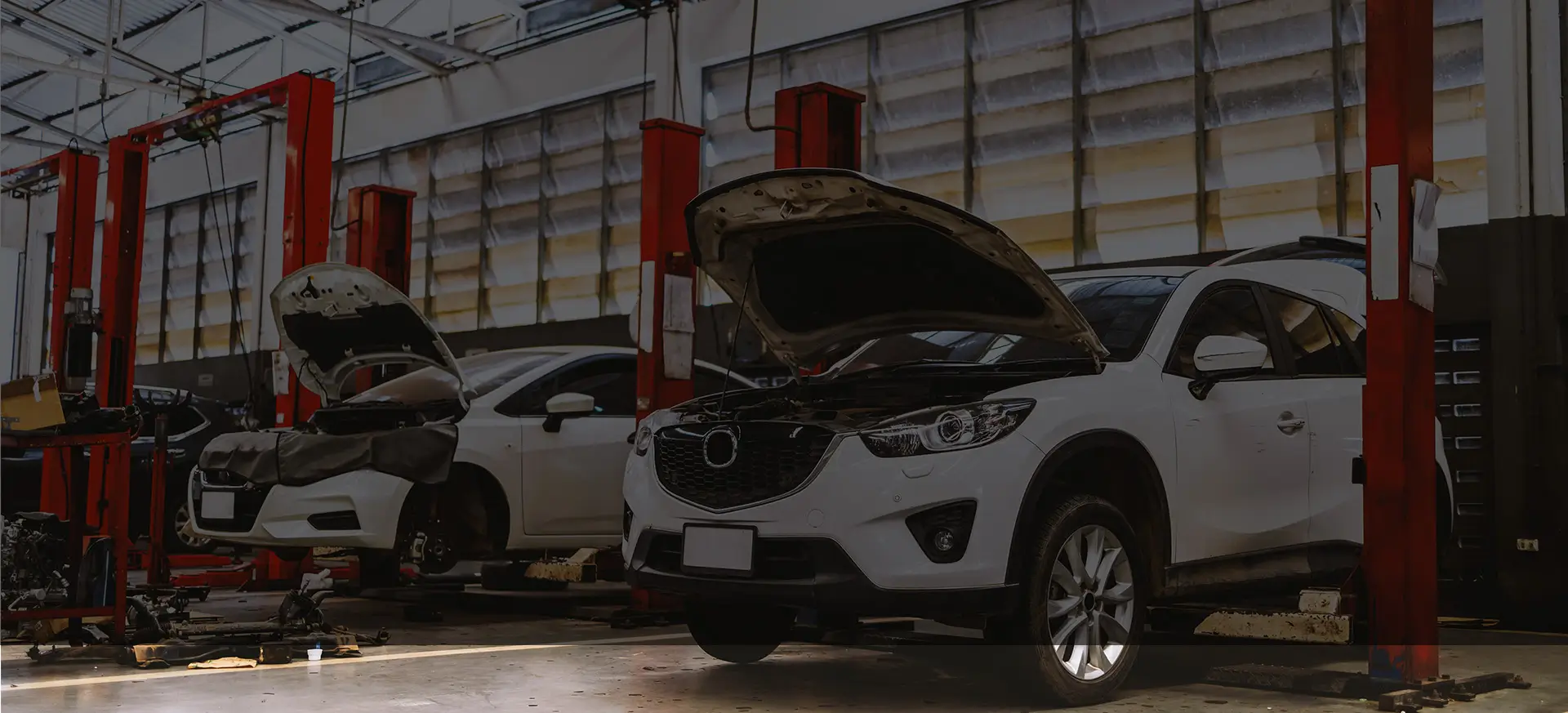 תמונה של מוסך פרי מוטורס